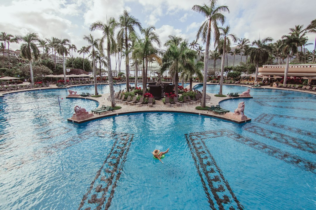 Resort swimming pool with palm trees for a family holiday