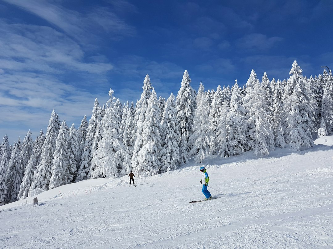 Skiers descending a snowy ski slope in Slovenia